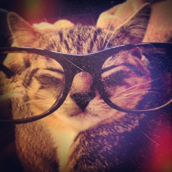 ihrtcats318